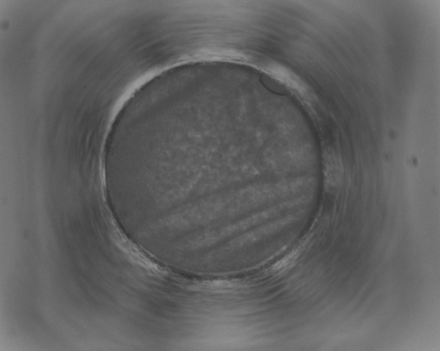 X0000070341280200606231523