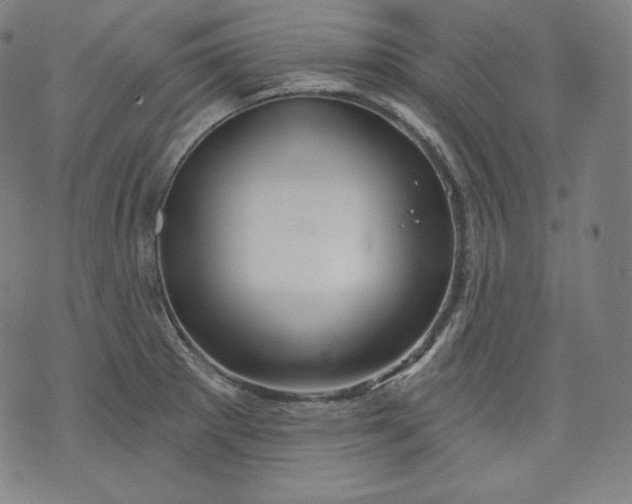 X0000070341281200606231523