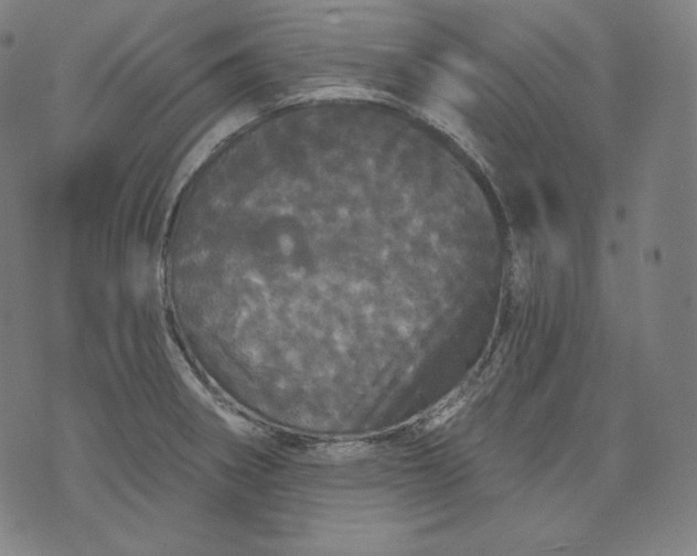 X0000070341282200606231523