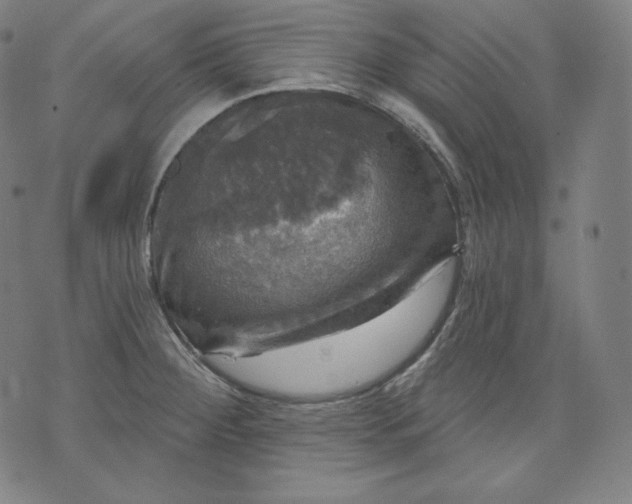 X0000070341284200606231523