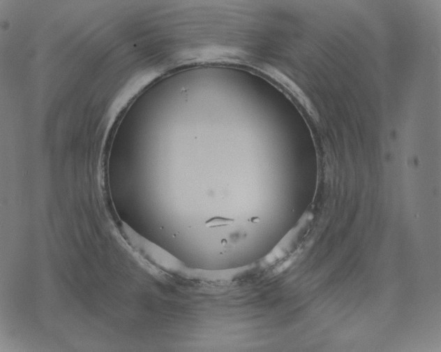 X0000070341285200606231523