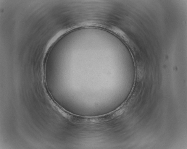 X0000070341286200606231523