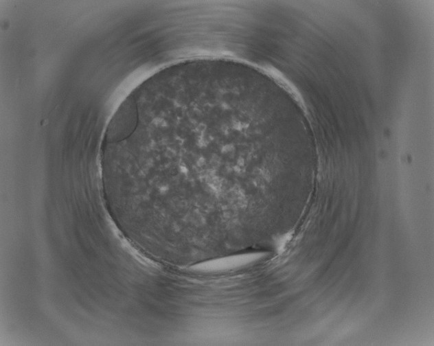 X0000070341287200606231523