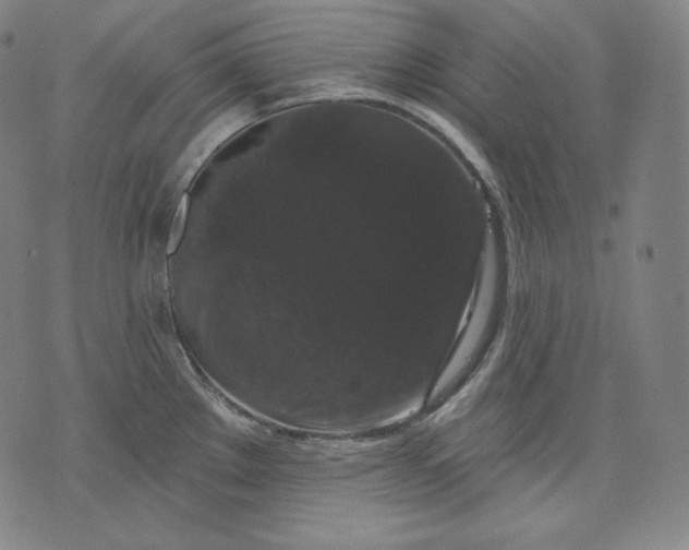 X0000070341289200606231523