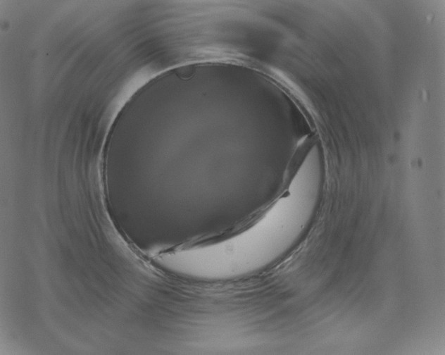 X0000070341291200606231523