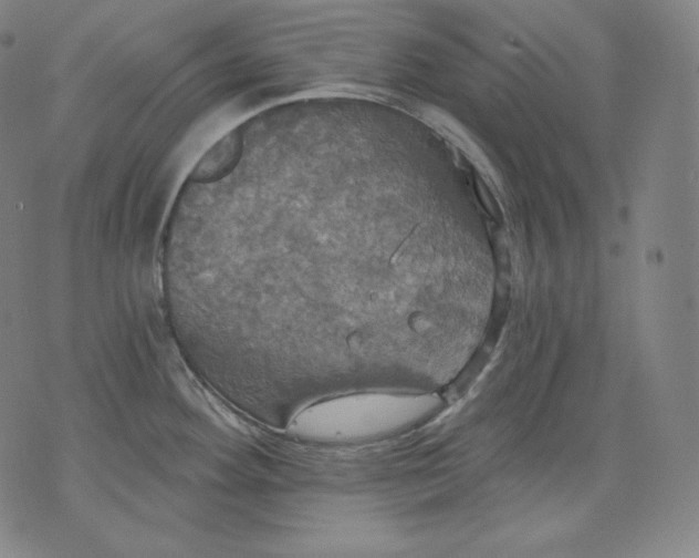 X0000070341292200606231523