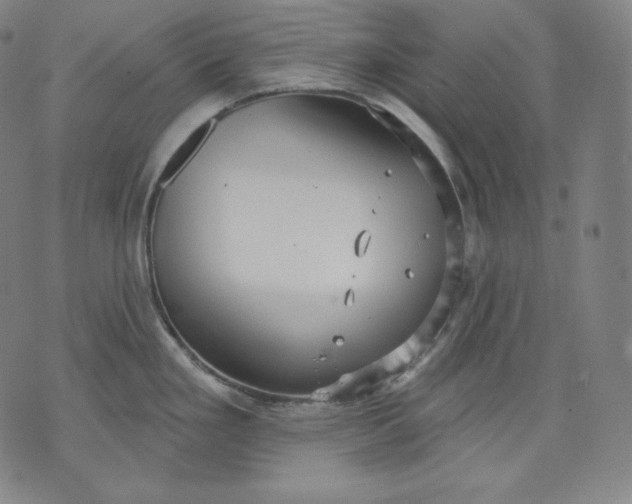 X0000070341293200606231523