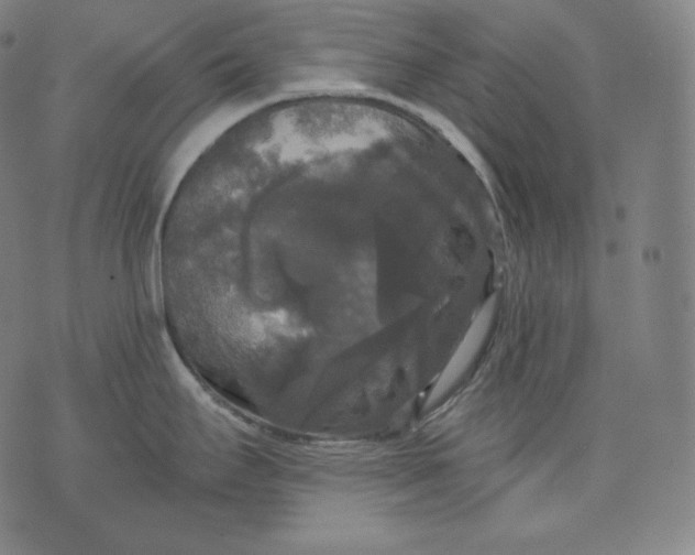 X0000070341295200606231523