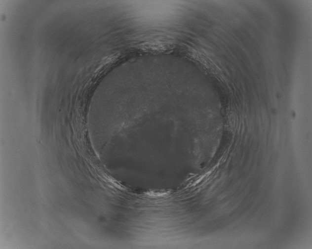 X0000070341297200606231522