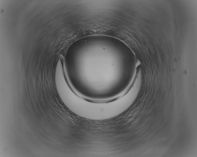 X0000070341298200606231522