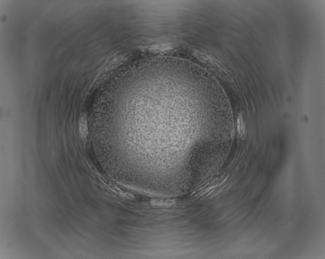 X0000070341299200606231522