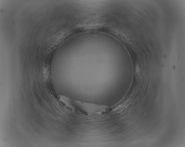 X0000070341300200606231522