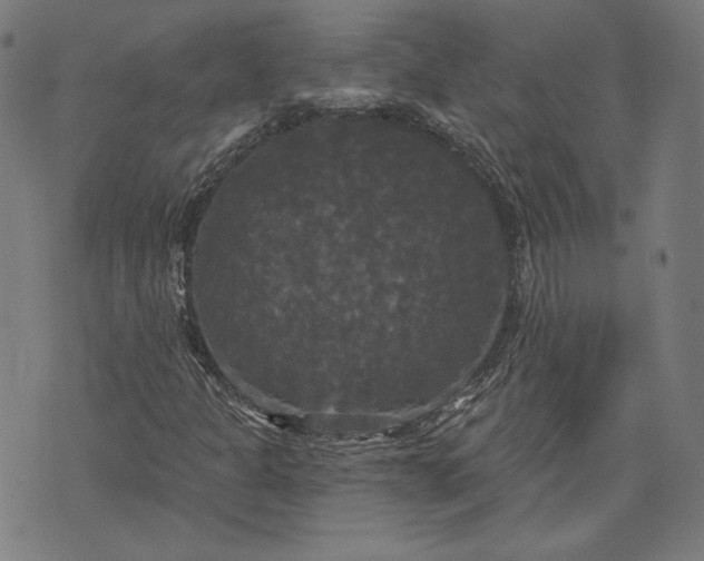 X0000070341301200606231522