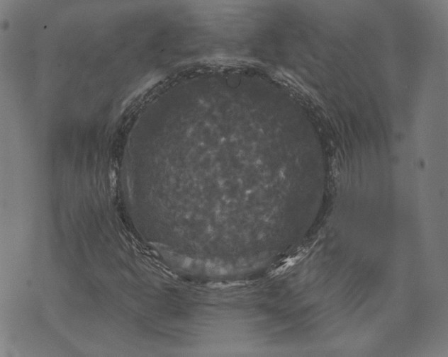 X0000070341302200606231522