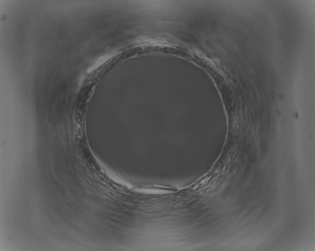 X0000070341303200606231522