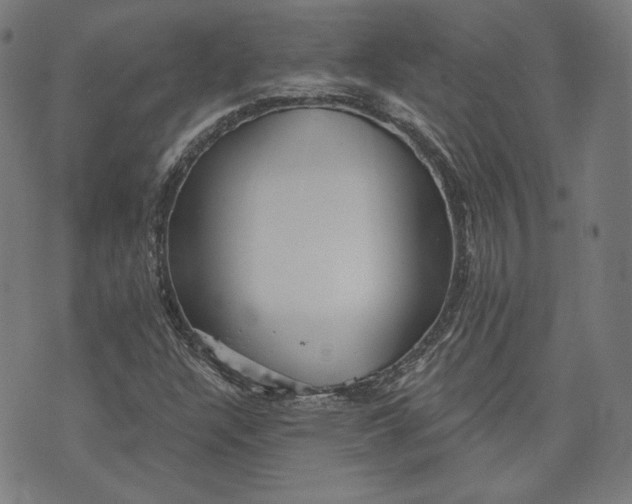 X0000070341304200606231522