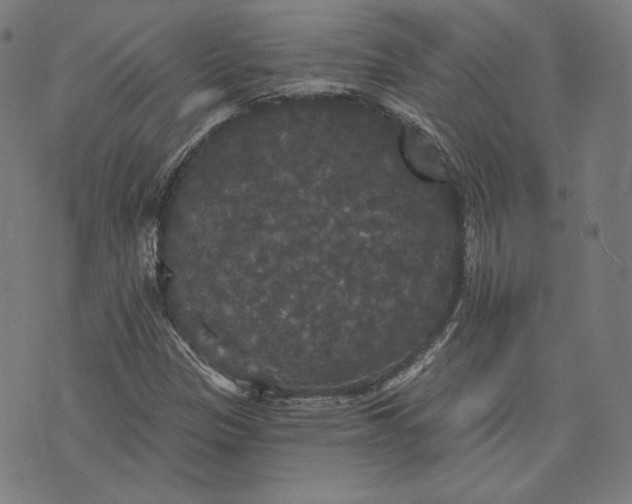 X0000070341305200606231522