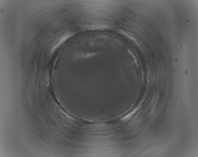 X0000070341306200606231522