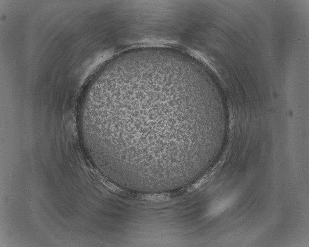 X0000070341307200606231522