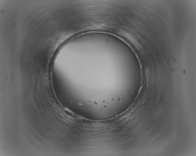 X0000070341308200606231522