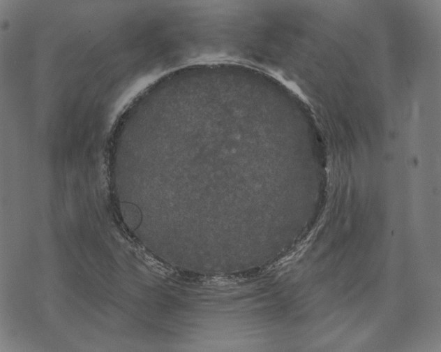 X0000070341311200606231522