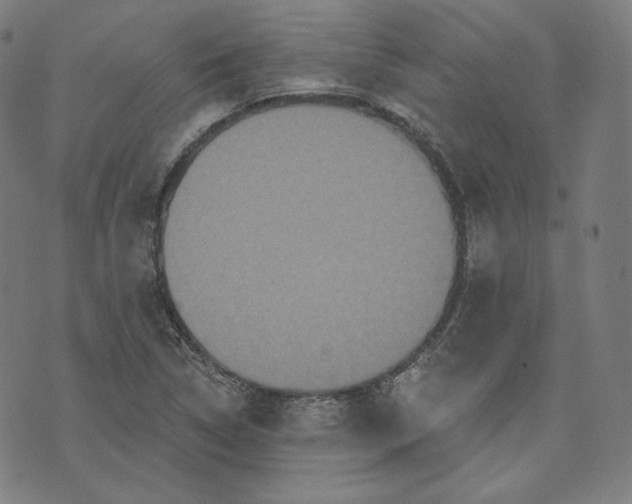 X0000070341314200606231522