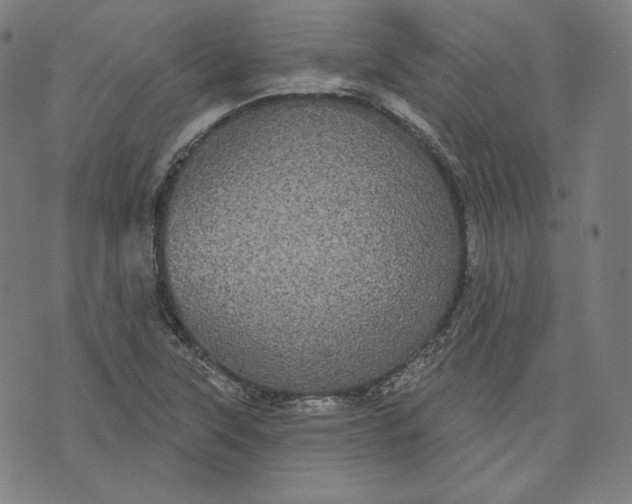 X0000070341315200606231522