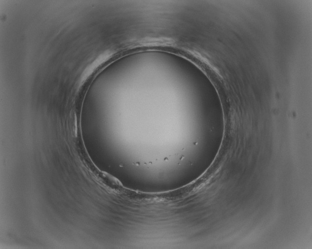 X0000070341317200606231522