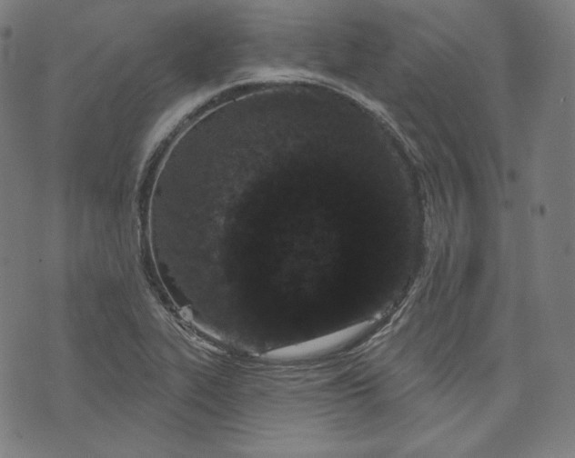 X0000070341319200606231522