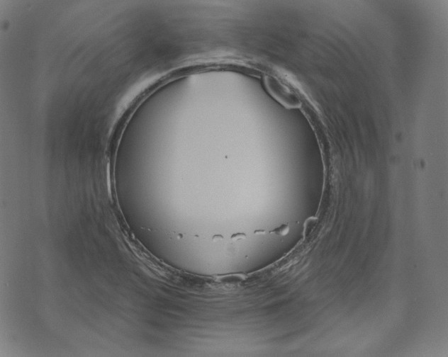 X0000070341320200606231522