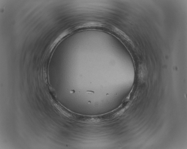 X0000070341321200606231522