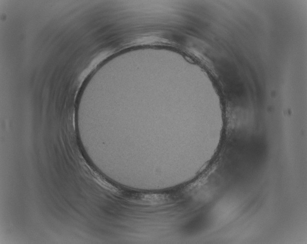 X0000070341322200606231522