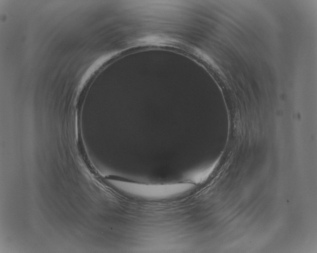 X0000070341323200606231522