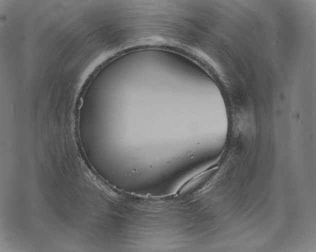 X0000070341326200606231522