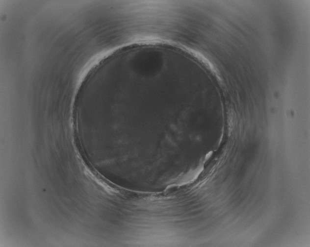 X0000070341327200606231522