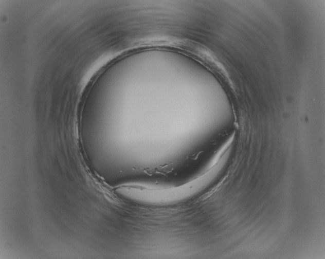 X0000070341328200606231522