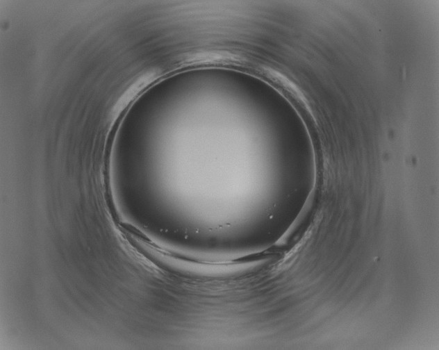 X0000070341330200606231522