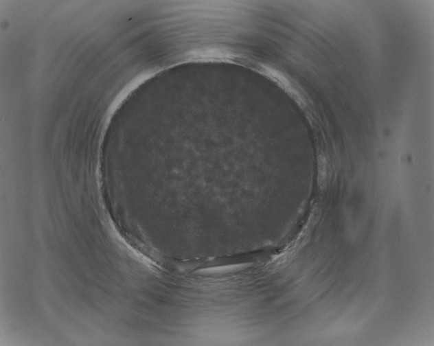 X0000070341331200606231522