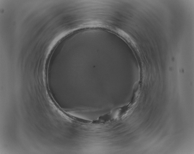 X0000070341334200606231523