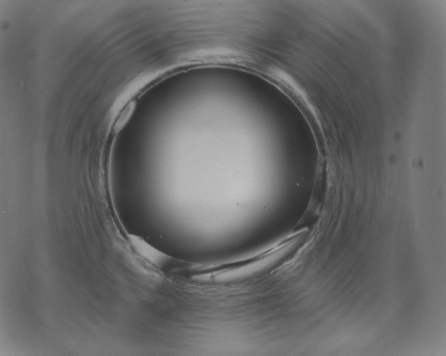 X0000070341336200606231523