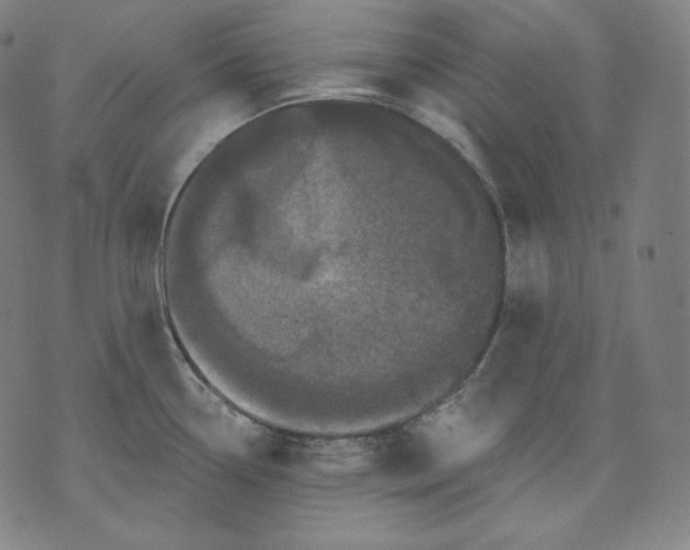 X0000070341338200606231523