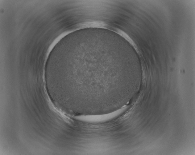 X0000070341339200606231523