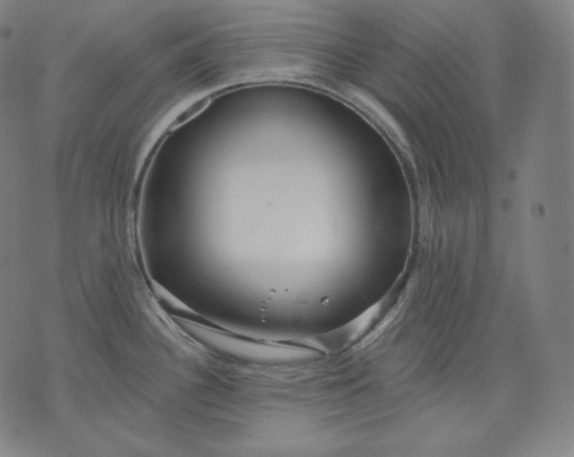 X0000070341340200606231523