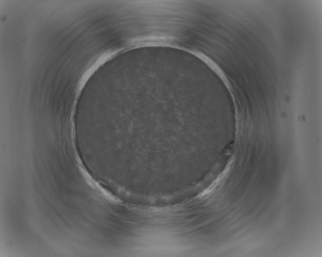 X0000070341341200606231523