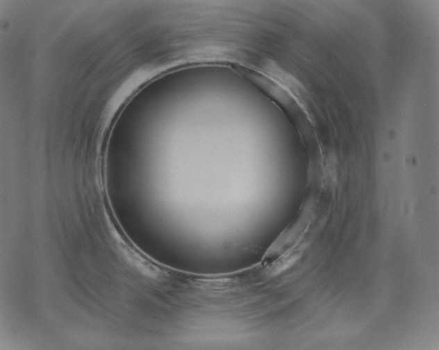 X0000070341342200606231523