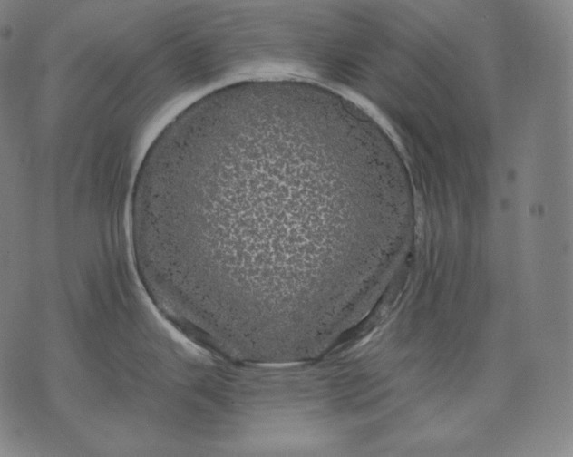 X0000070341343200606231523