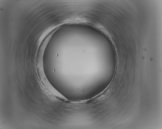 X0000070341344200606231523