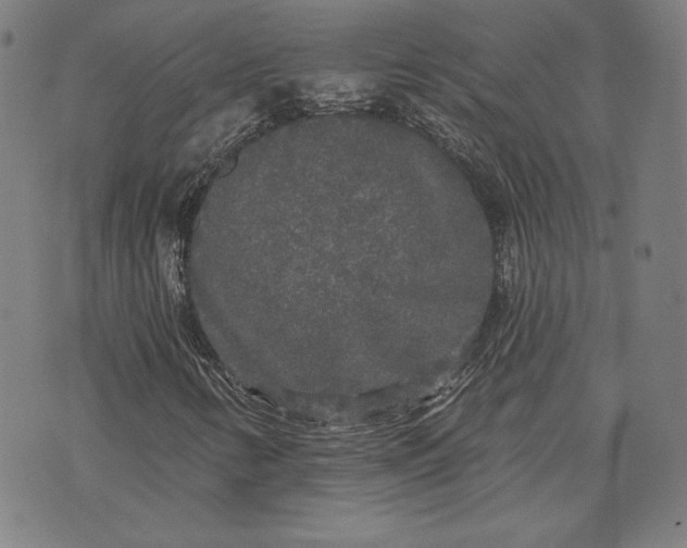 X0000070341346200606231522