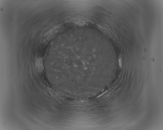 X0000070341347200606231522