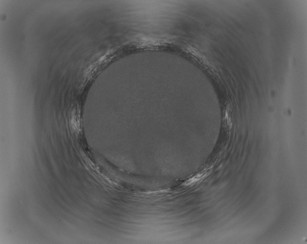 X0000070341348200606231522